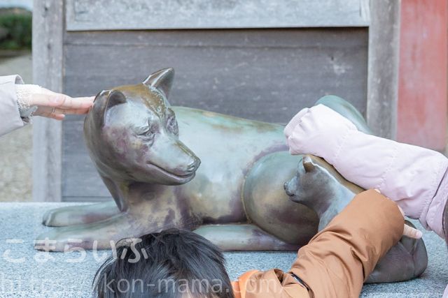 マタニティ写真　フォトブック　戌の日　安産祈願