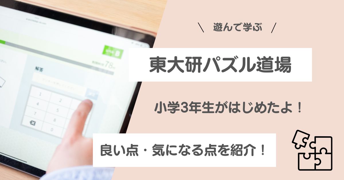 東大研パズル道場　小学3年生　小学生　レビュー