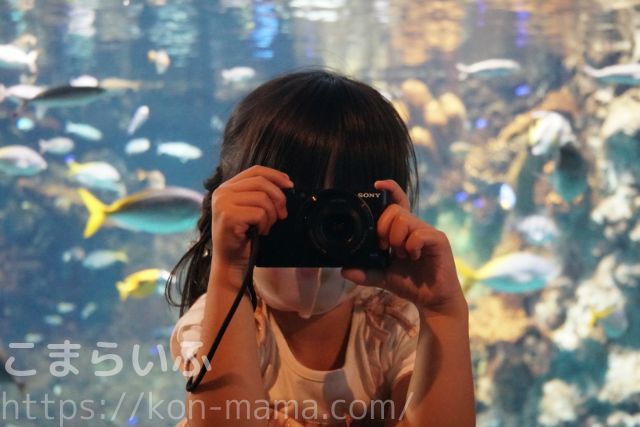 女の子 観光地 カメラ撮影 水族館