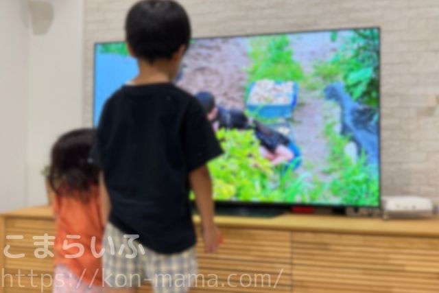 子どもがおもいでばこを使ってテレビで写真を見る様子