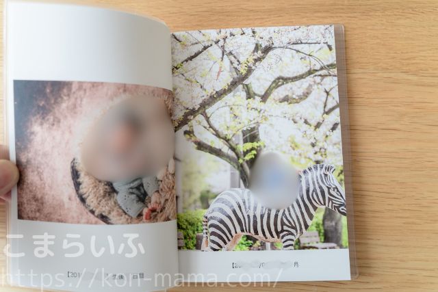 TOLOT フォトブック 表紙写真 例
