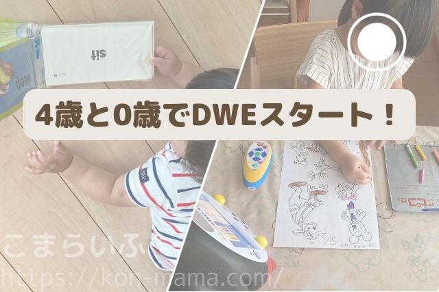 4歳と0歳のきょうだいがDWEのカードを見ながら遊んでいる様子