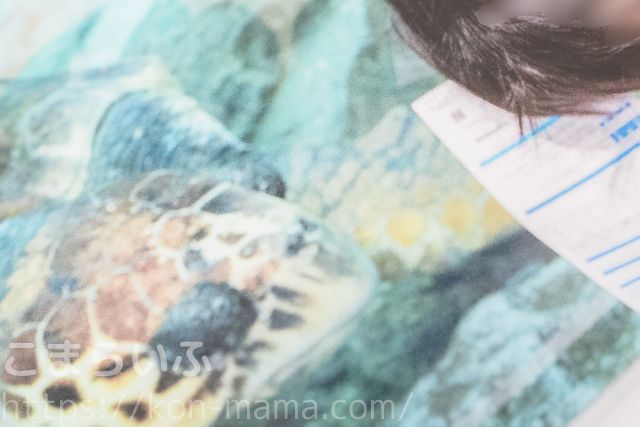 TOLOTのA3ポスターカレンダーの印刷部分を拡大した写真。細部の発色や質感が確認できる。