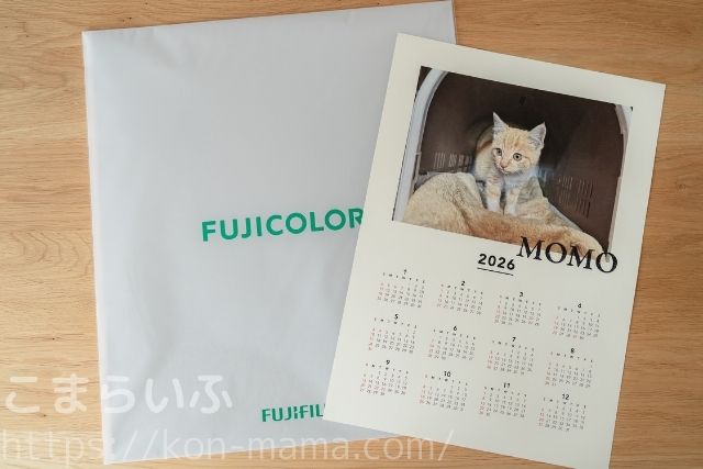 FUJICOLORの白いパッケージ袋とA3ポスターカレンダーの同梱状態