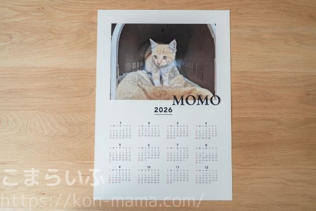 COYOMIで作ったA3ポスターカレンダーの完成品。猫の写真入りデザイン