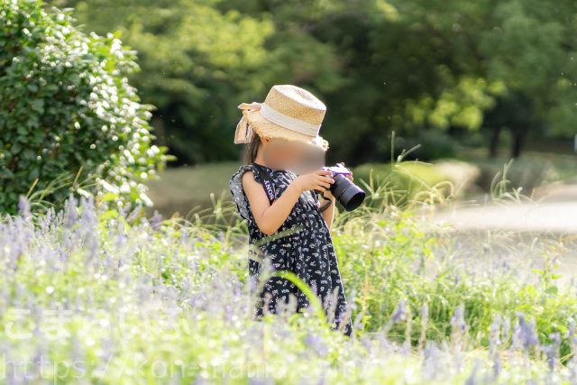 小学生の女の子が屋外でカメラ撮影を楽しむ様子